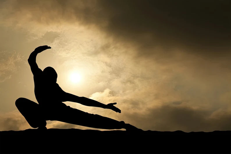 Martial Arts Silhouette Canvas Wall Art – Zen Warrior Sunset Poster Print for Modern Home Decor